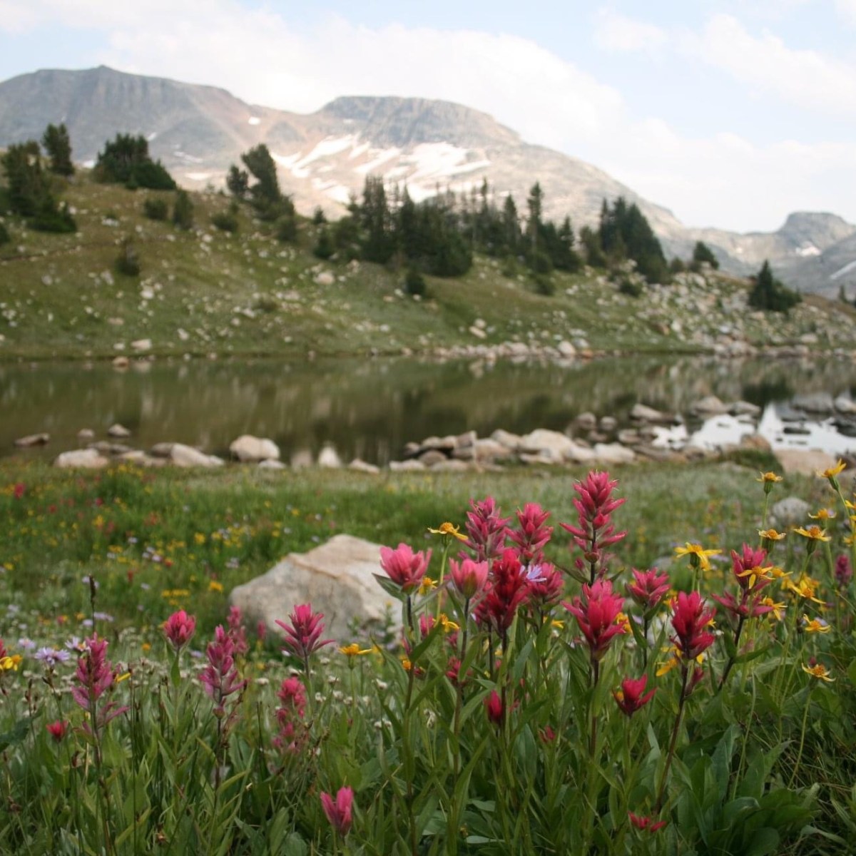 The Beaten Path, Absaroka-Beartooth Wilderness&nbsp;(2018)